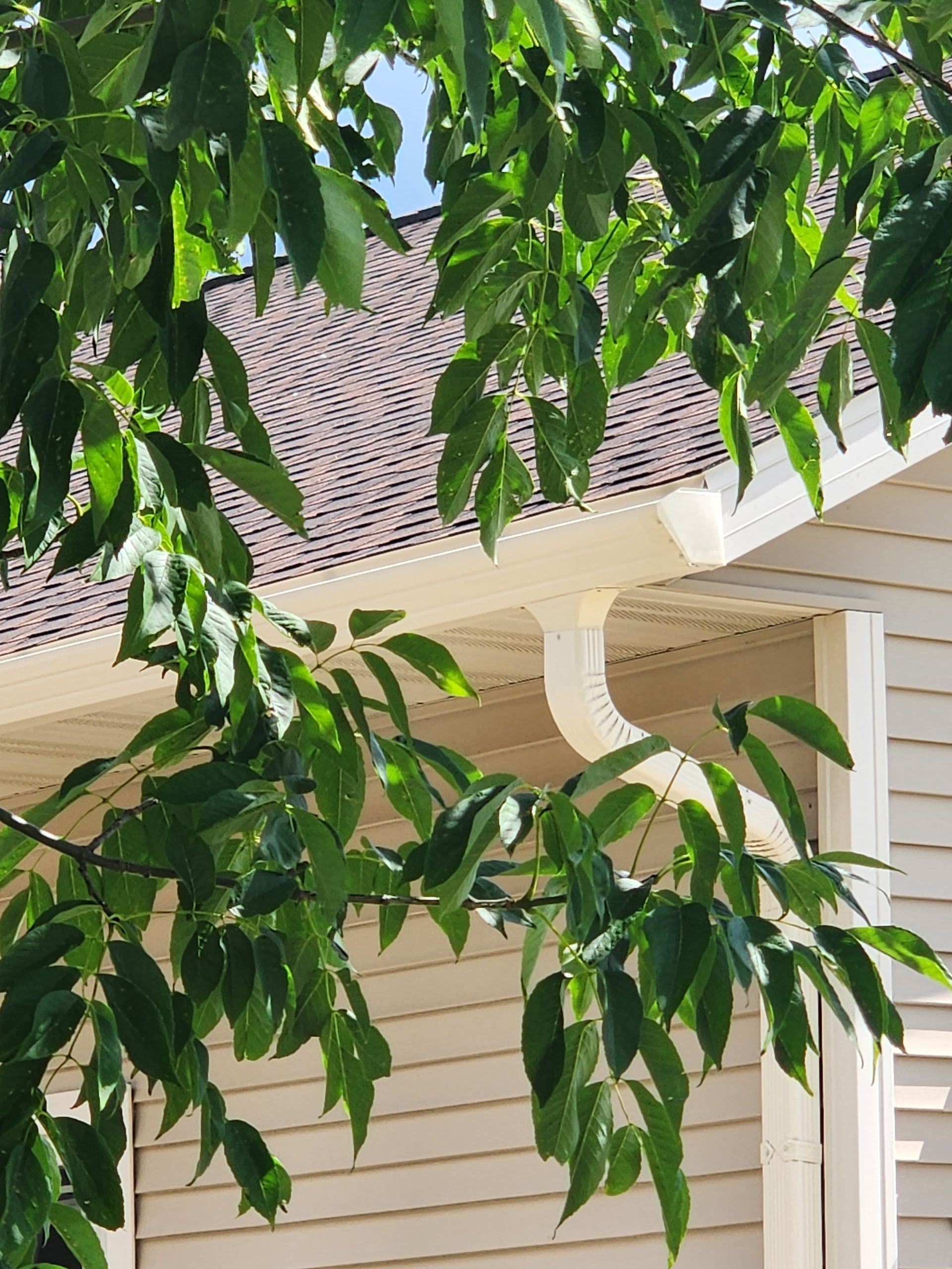 Absolute Gutter System | Frey Construction